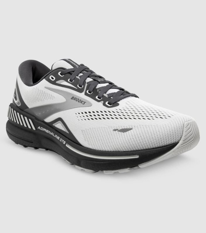 Brooks Adrenaline Gts 23 (2e Wide) Mens - OYSTER EBONY ALLOY slider