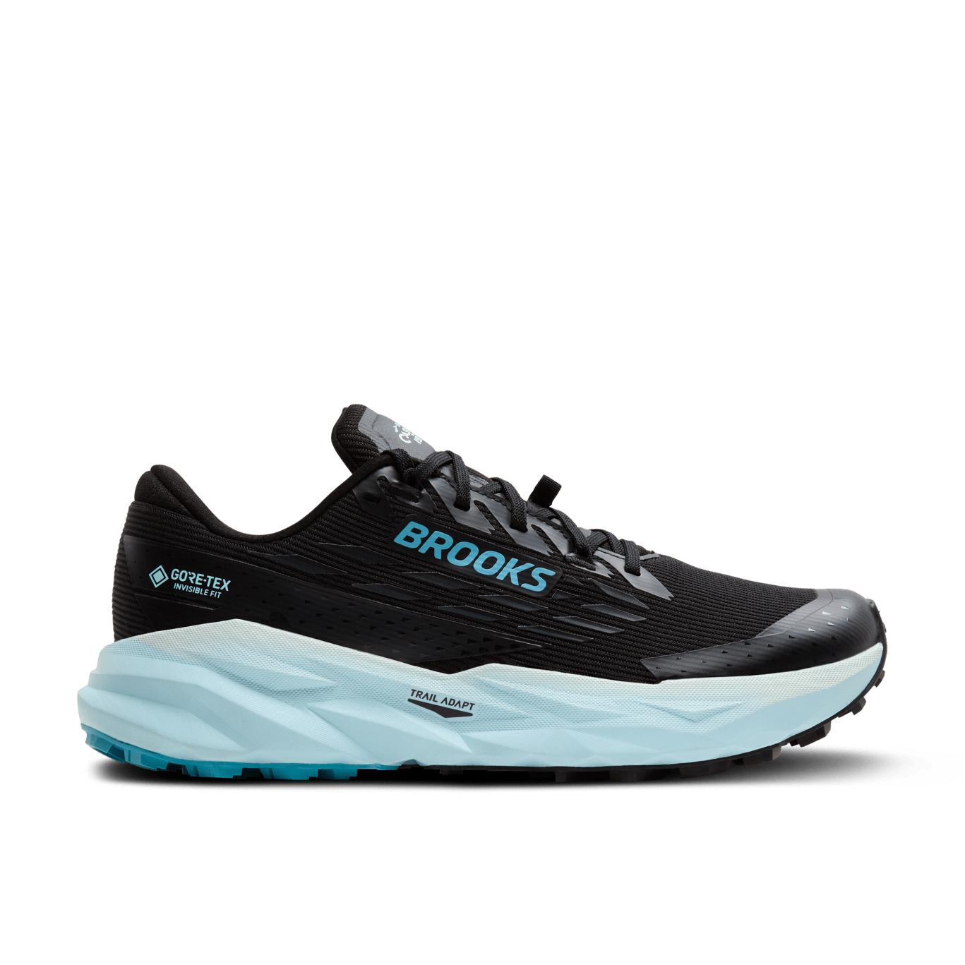 Cascadia 19 GTX - 010 - BLACK/EBONY/BLUE FLOWER