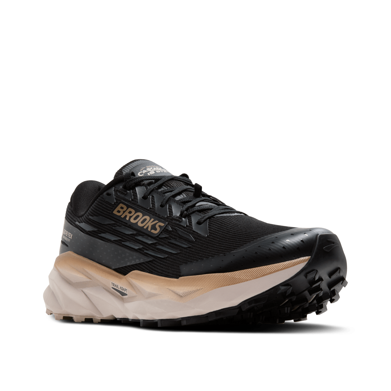 Cascadia 19 GTX - 065 - BLACK/EBONY/CHATEAU GRY slider