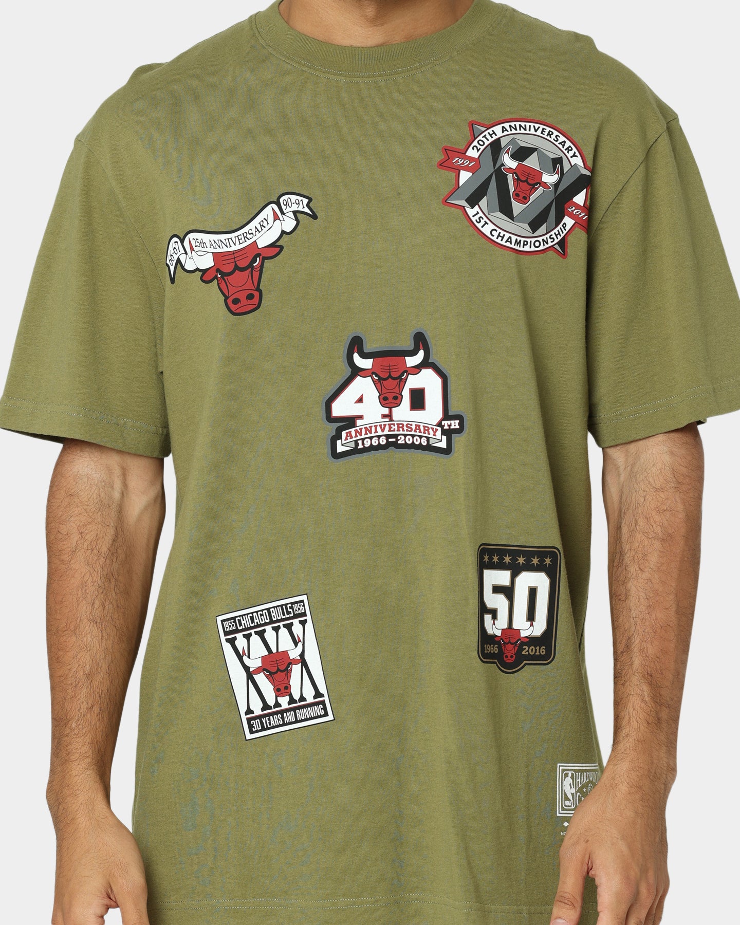 Chicago Bulls Flight T-Shirt slider