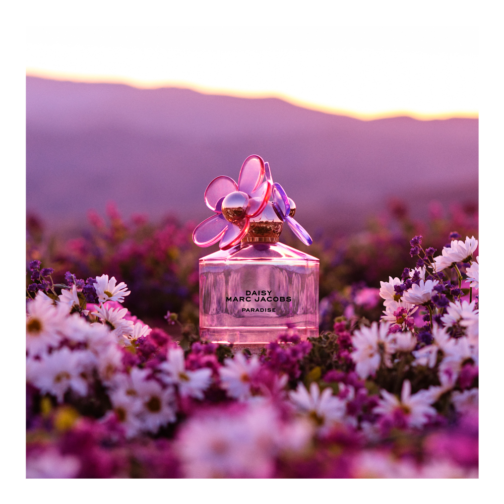 Daisy Paradise Eau De Toilette (Limited Edition) slider