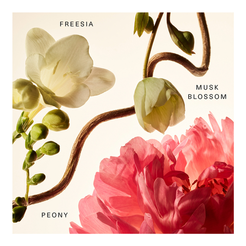 Floral Peony Blossom Rare Fragrance Layering Balm slider