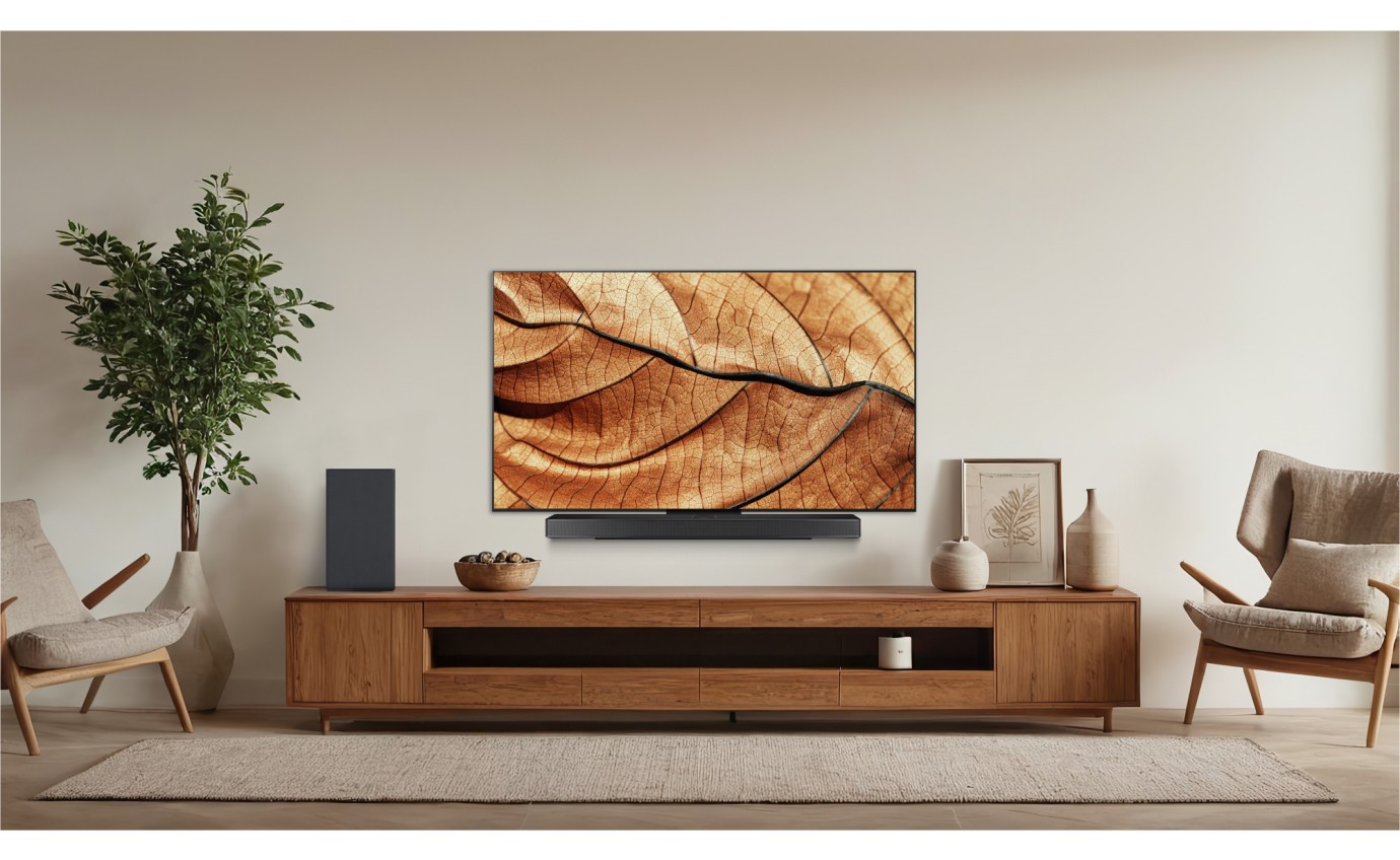 LG 65