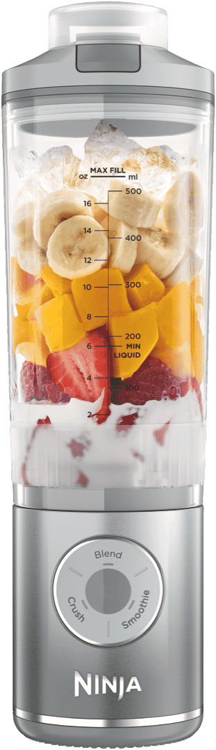 Ninja Blast Max Cordless Portable Blender Platinum Silver