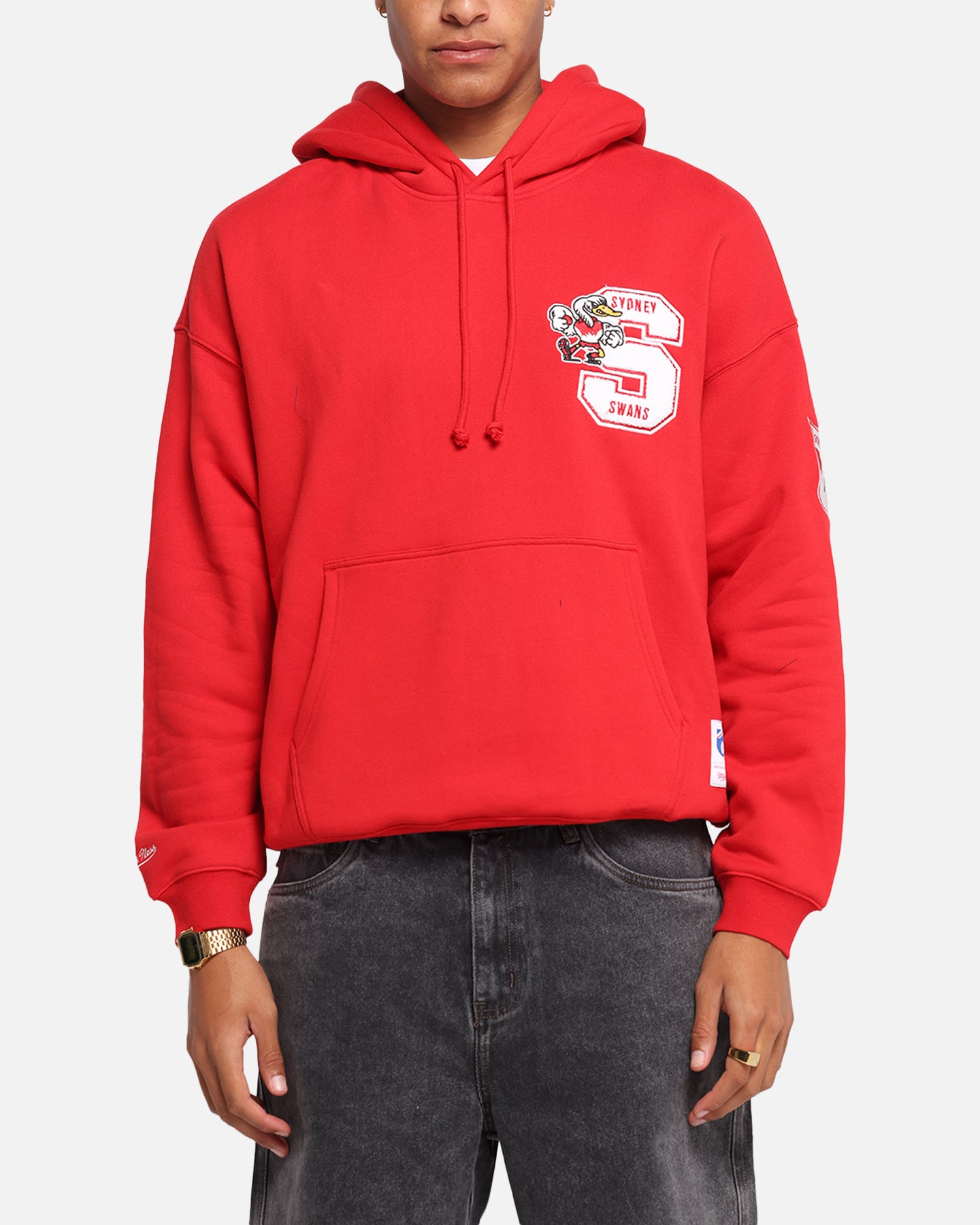 Sydney Swans Team Hoodie slider
