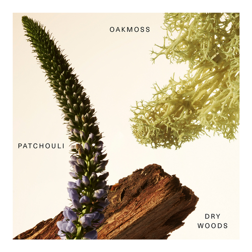 Woody Oak Rare Fragrance Layering Balm slider