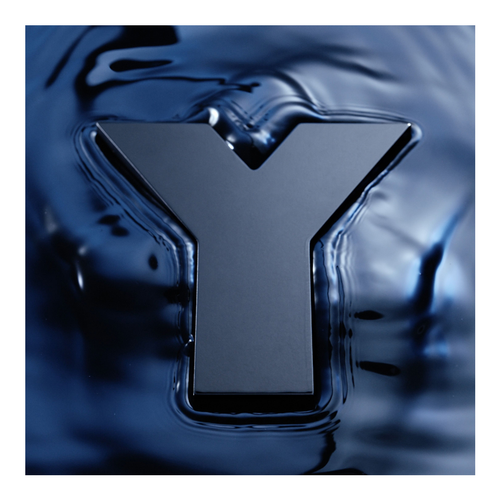 Y L'Elixir Eau De Parfum slider